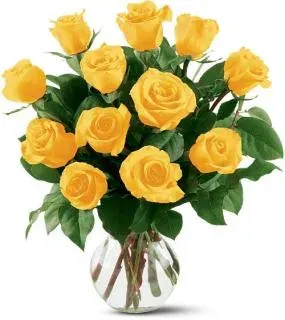 Yellow Roses