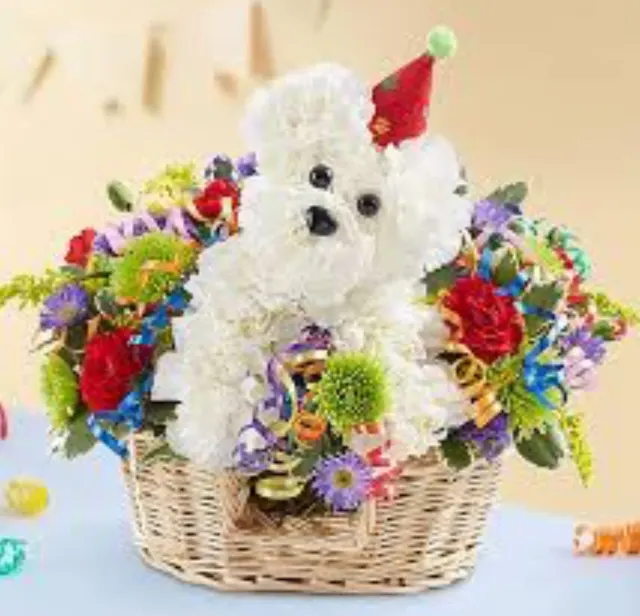 Birthday Puppy