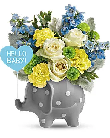 Hello Baby Boy!