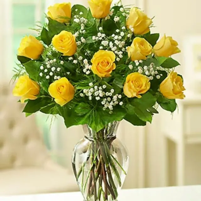 Elegant Yellow Rose