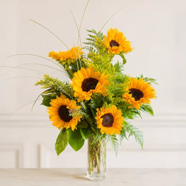 Sunflower Lover