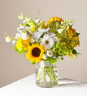 Hello Sunshine