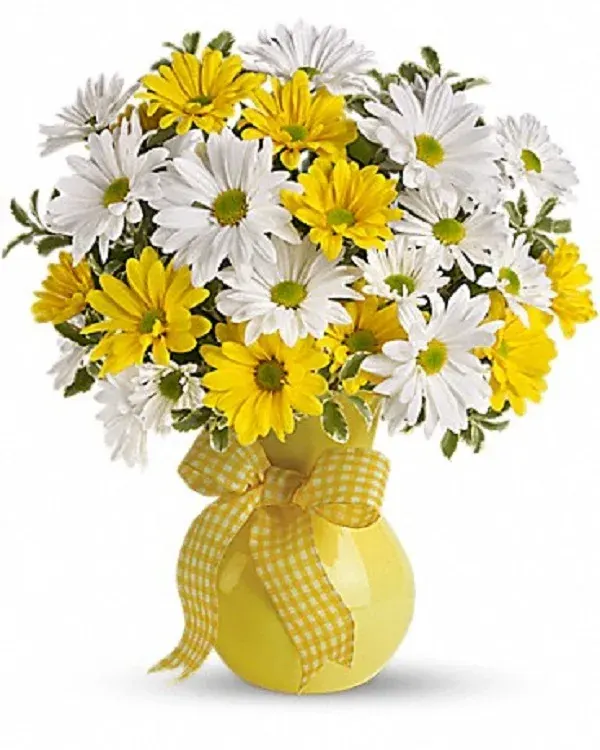 Upsy Daisy