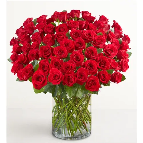 100 Premium Long Stem Red Roses