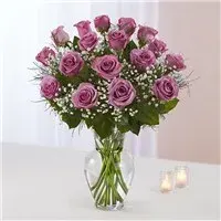 Rose Elegance Premium Long Stem Lavender Roses