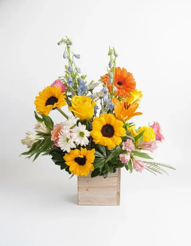 Happy Blooms in a Box — Paloma