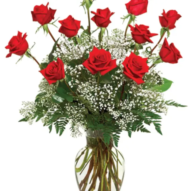 A Dozen Roses