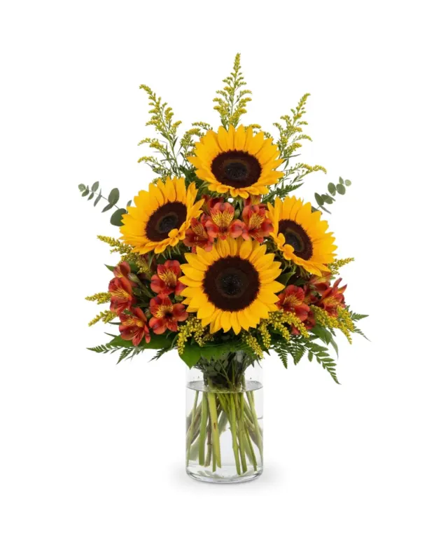 Golden Harvest Radiance
