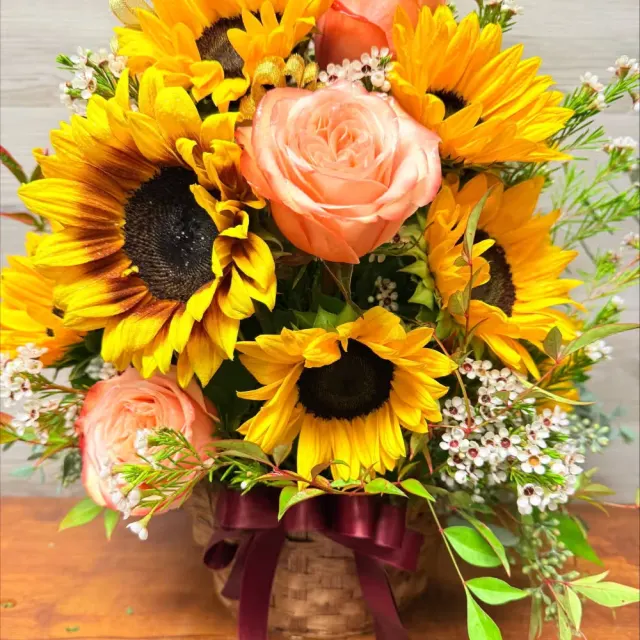Sunflower dreams