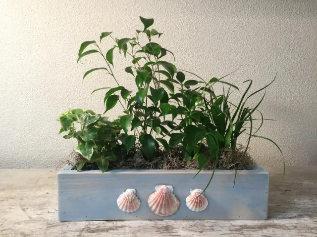 Coastal Garden