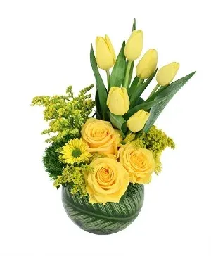 Yellow Optimism