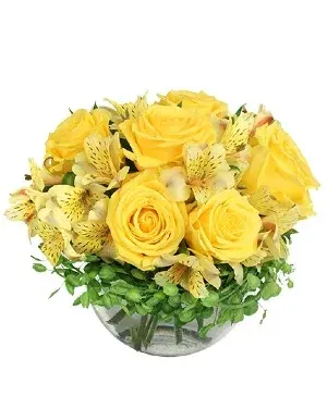 Sweet Lemon Roses