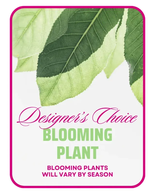 In-Season Blooming Plant