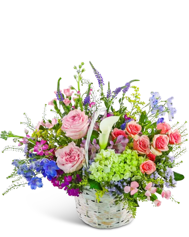 Petal Rhapsody
