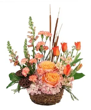 Serene Sunset
