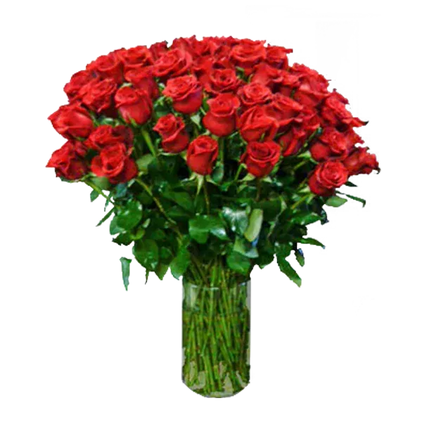 One Hundred Roses