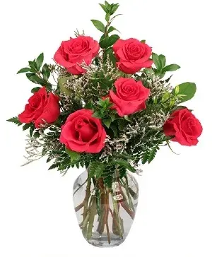Vibrant Fuchsia Roses
