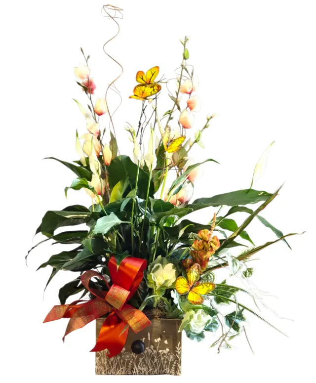 Peace Lily Plus