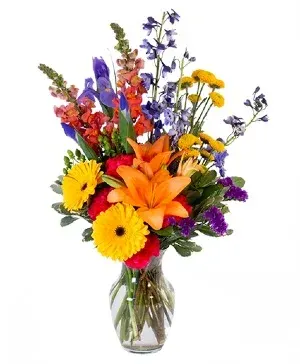 Vibrant Meadow