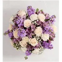 Loving Sentiments Lavender And White