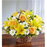 Peace, Prayers & Blessings Yellow & White