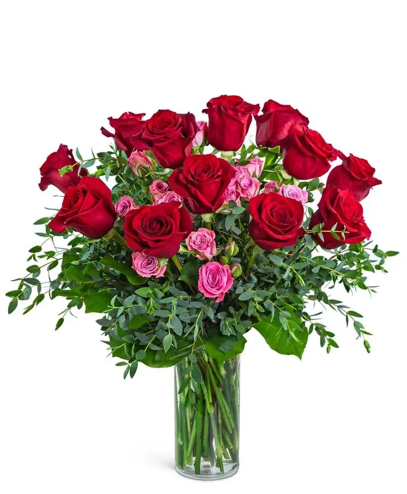 Kiss Me Dozen Roses