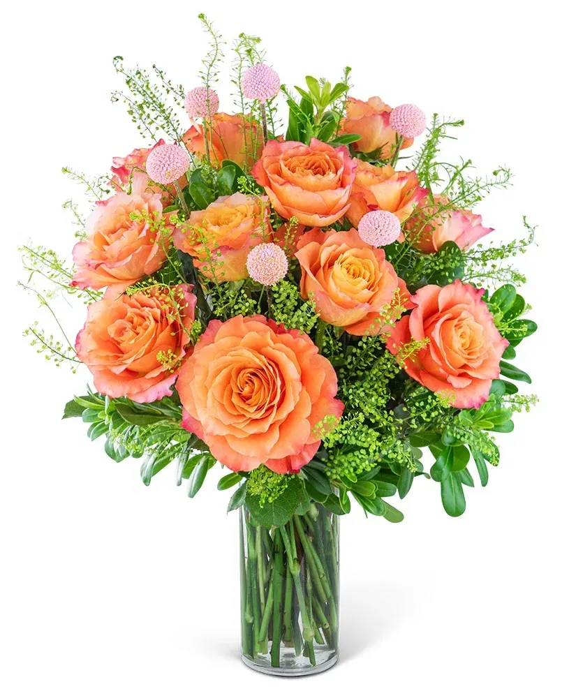 One Dozen Free Spirit Rose Symphony