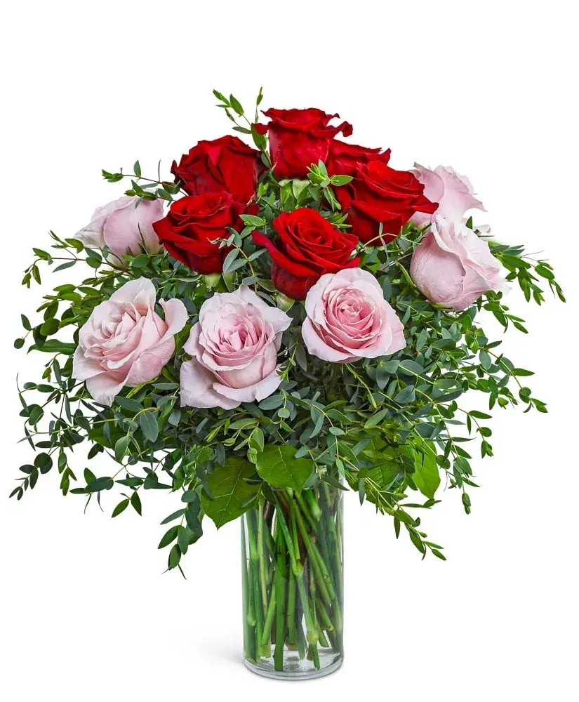 One Dozen Perfect Pink and Red Roses