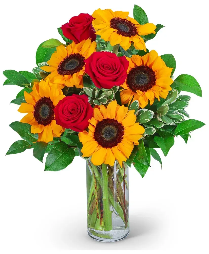 Rosy Sunflowers