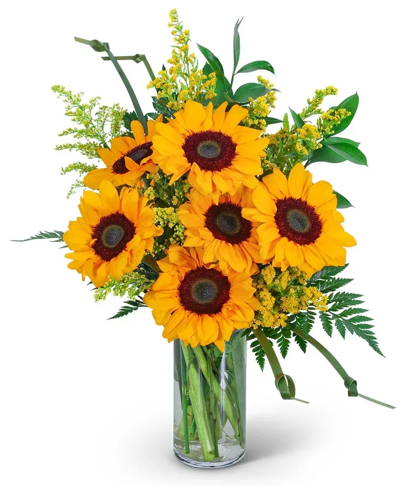 Sunflowers and Love Knots