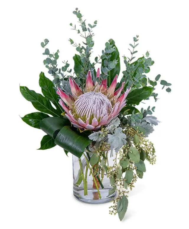 Tropical Naturals