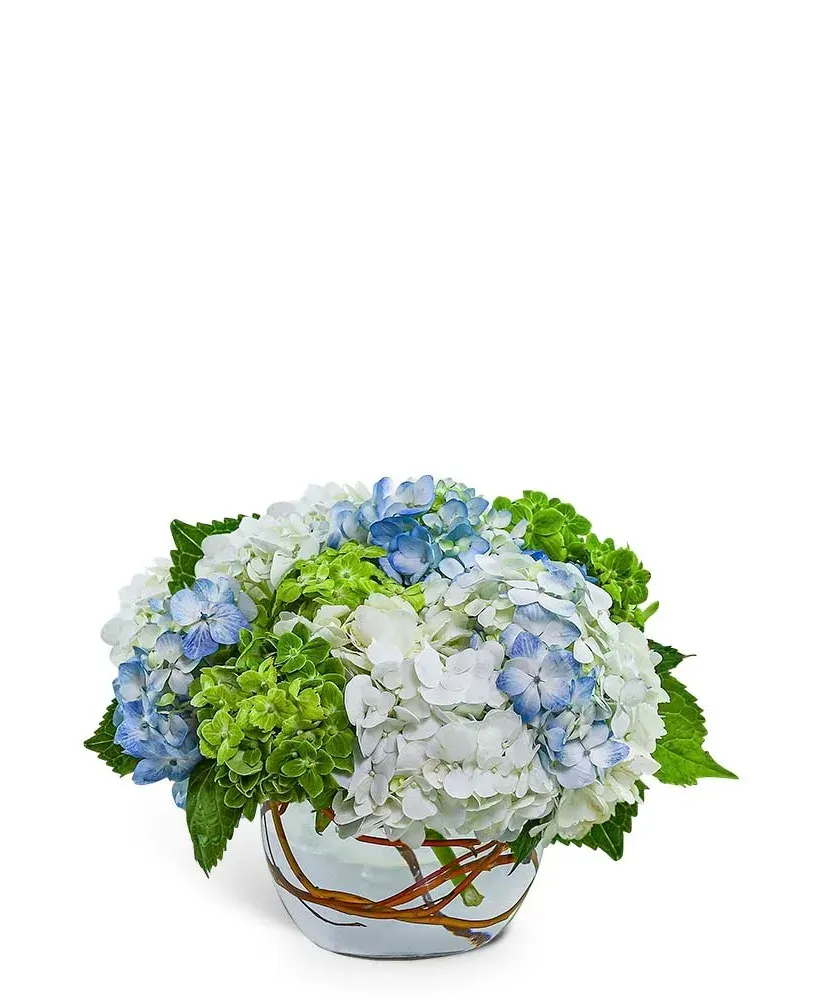 Dreamy Hydrangea