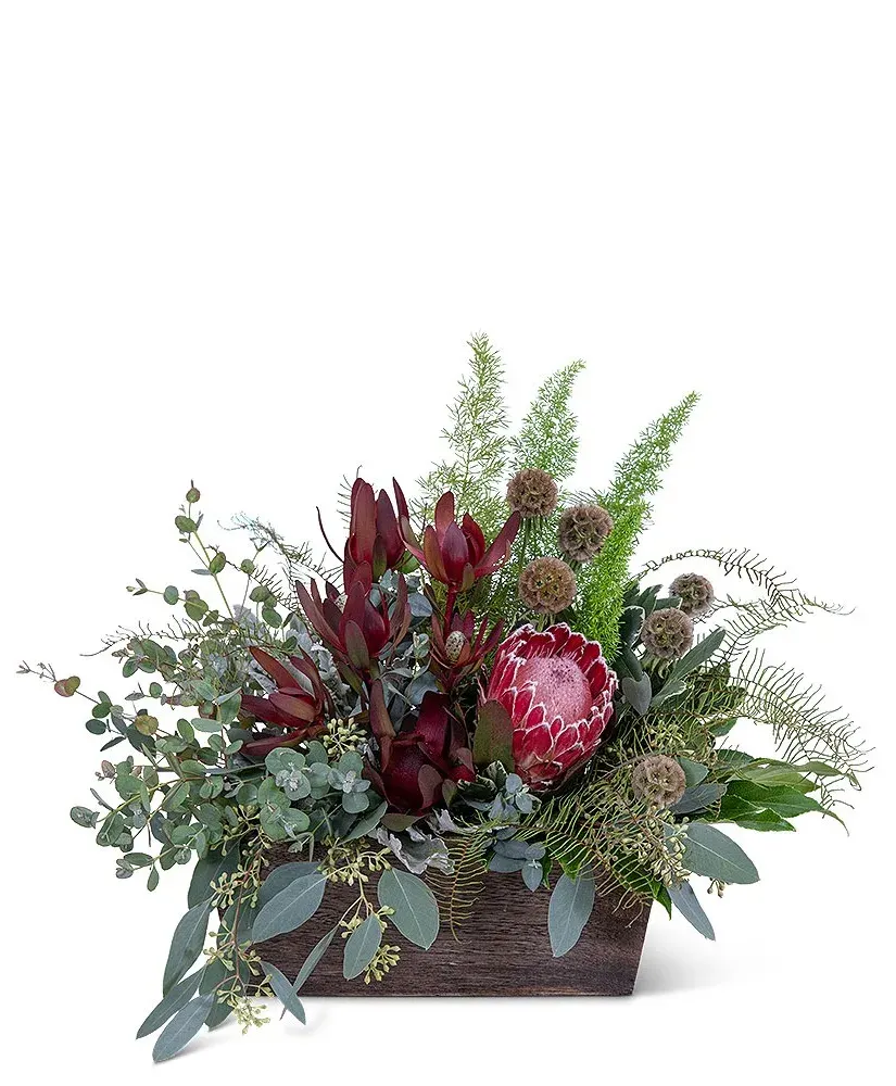 Botanic Beauty