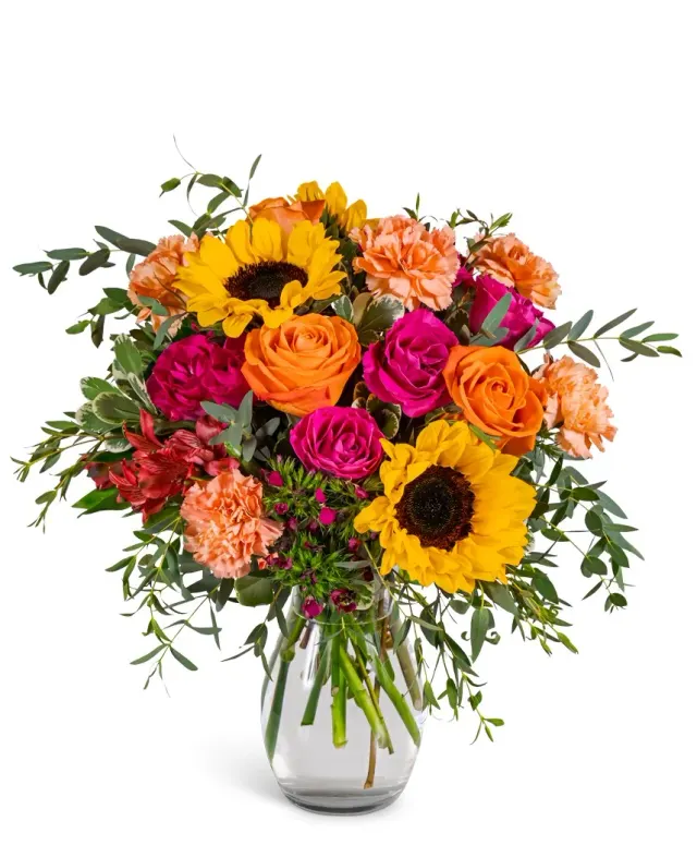 Fiesta Bloom