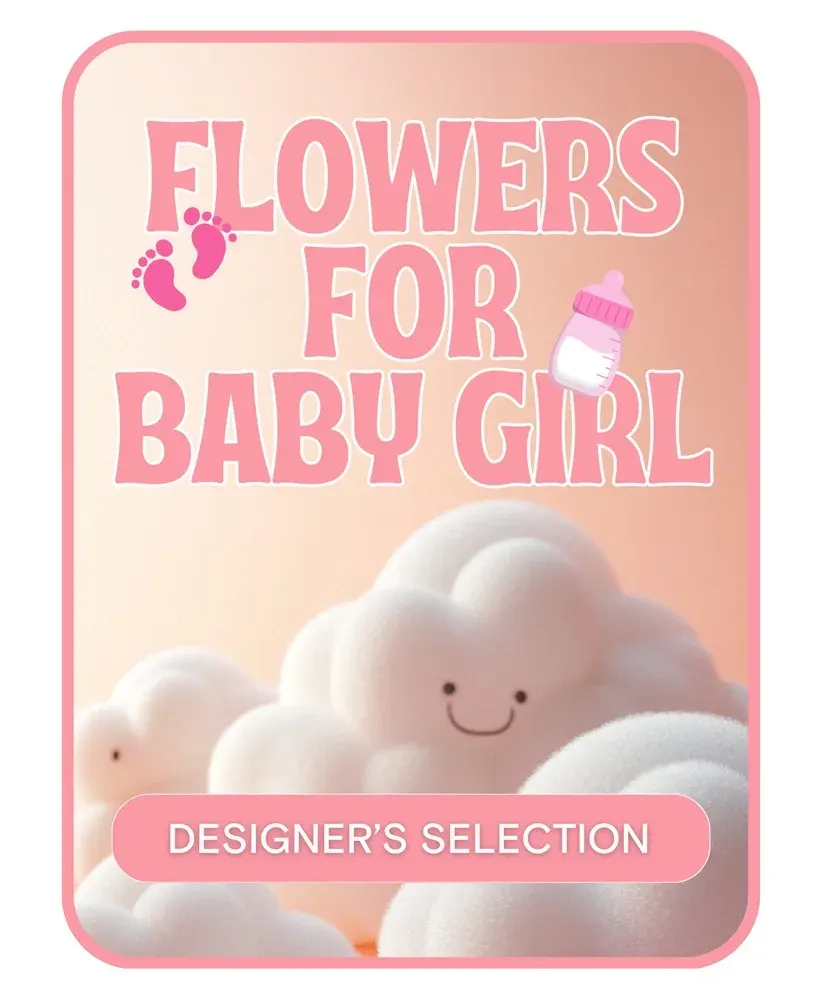 Designer's Selection Baby Girl
