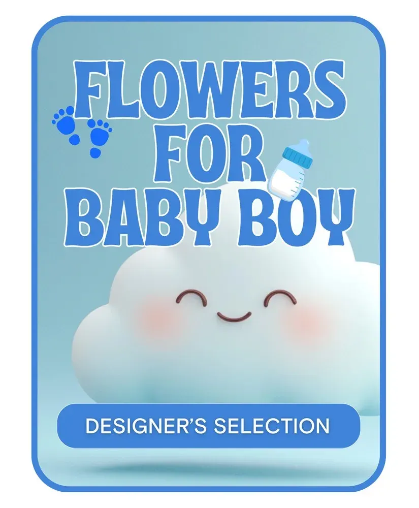 Designer's Selection Baby Boy