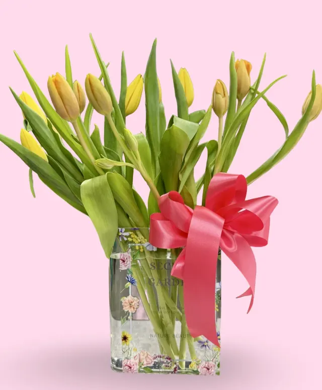 Book Vases