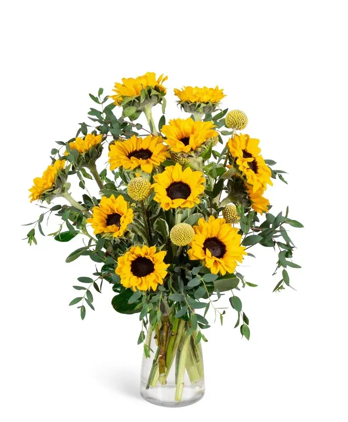 Wildflower Sunshine