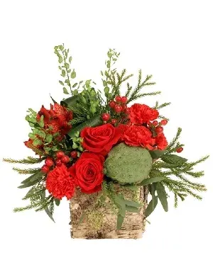 Gorgeous Greens & Reds