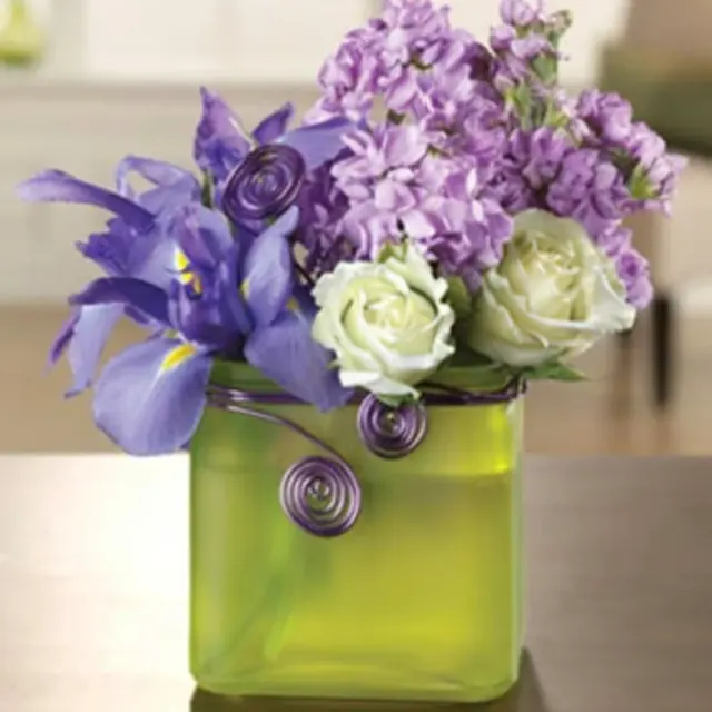 Iris Fantasy