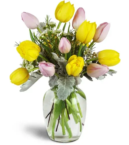 Too Too Tulips!