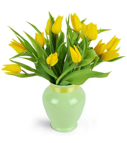 Totally Tulips
