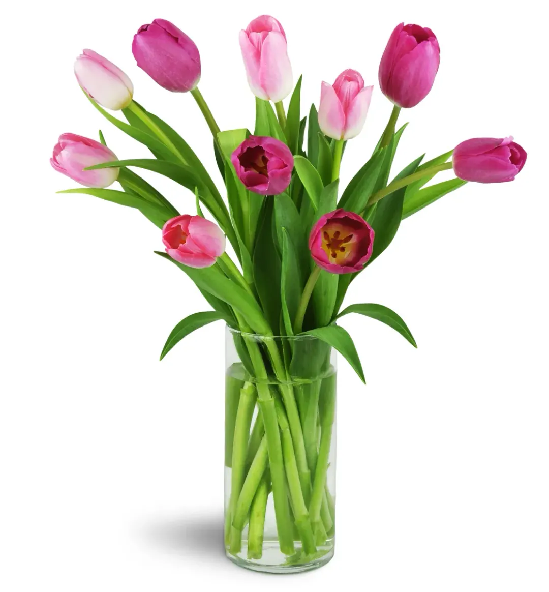 Perfect Pink Tulips