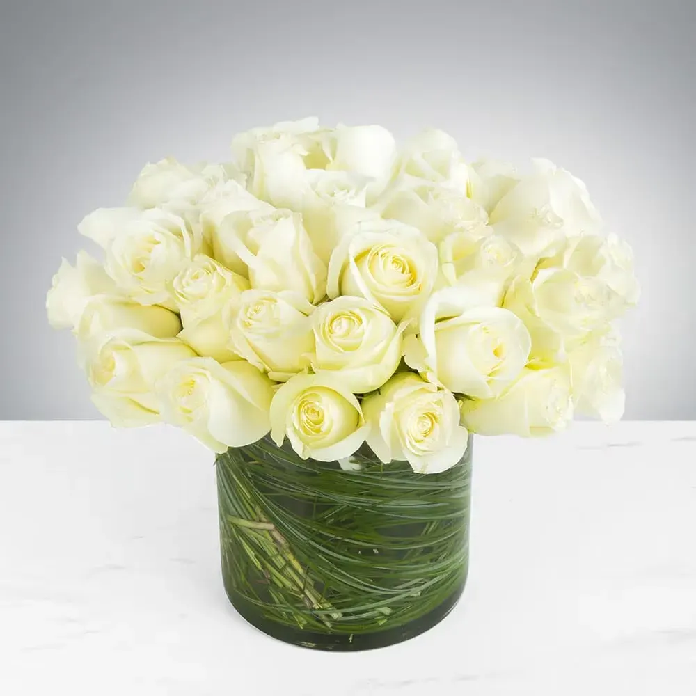 Two Dozen White Roses