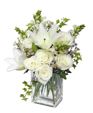 Wonderful White