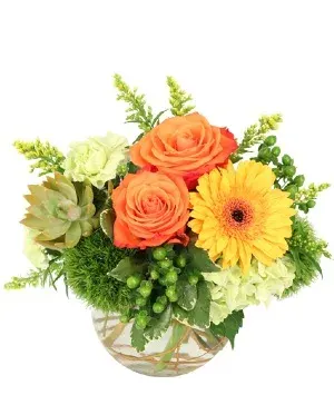 Evening Ember