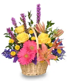Have A Sunny Day!