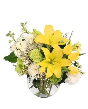 Luxurious Lemon Dream