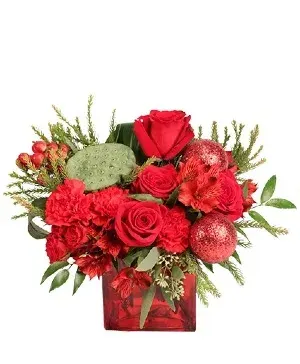 Scarlet Celebration