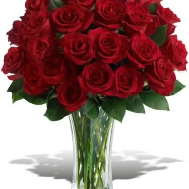 Love and Devotion